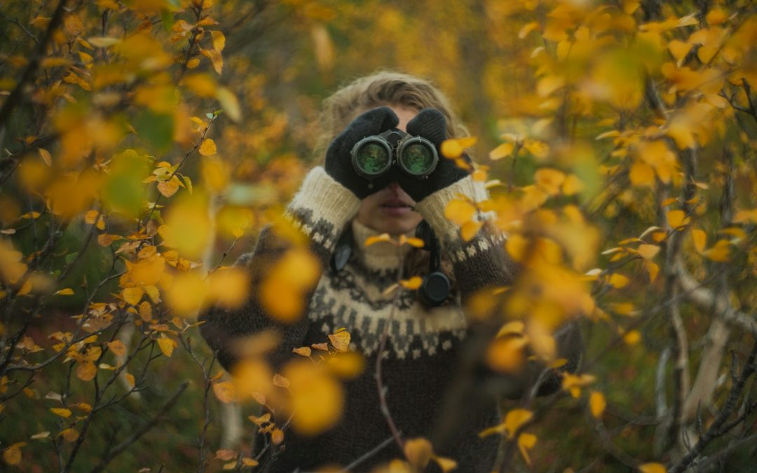 Embracing the Wild: Wildlife Watching Tips and Safety Guidelines